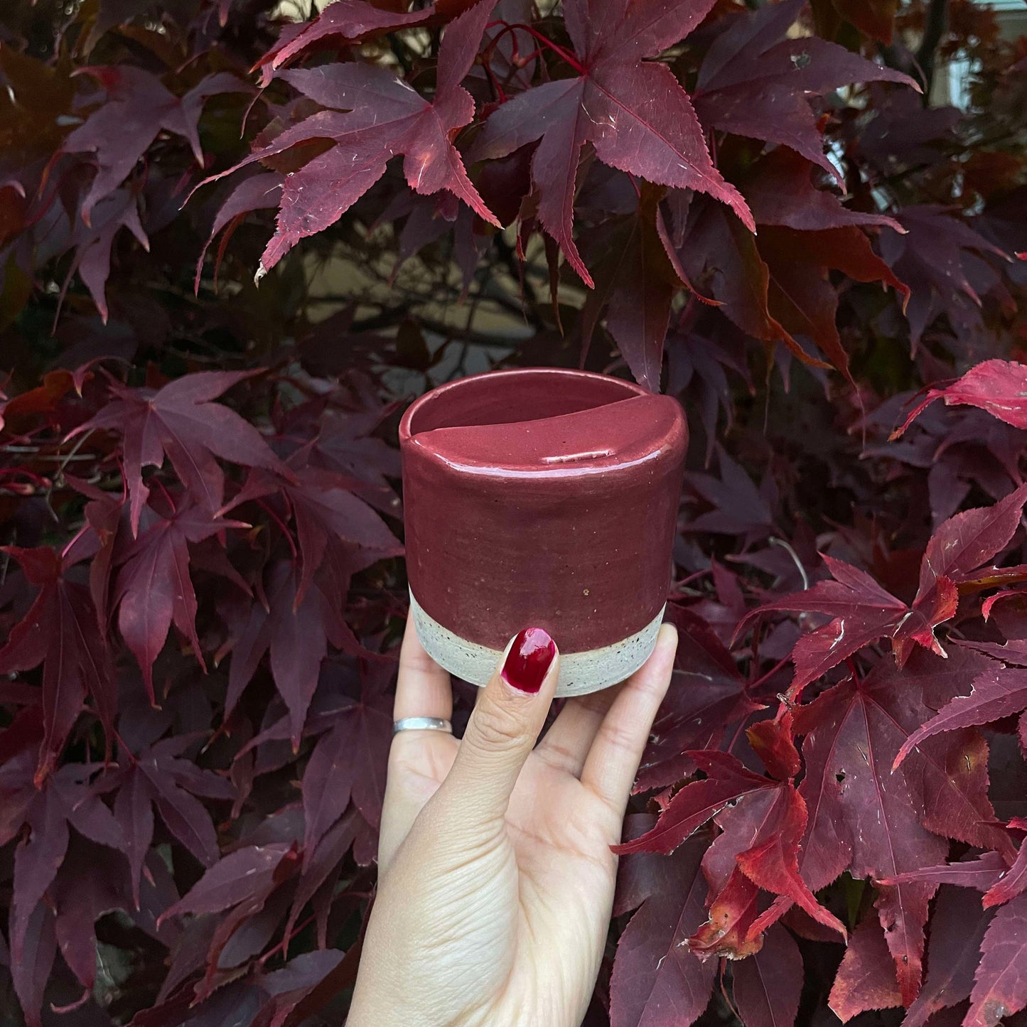 Take away cup - Burgundy