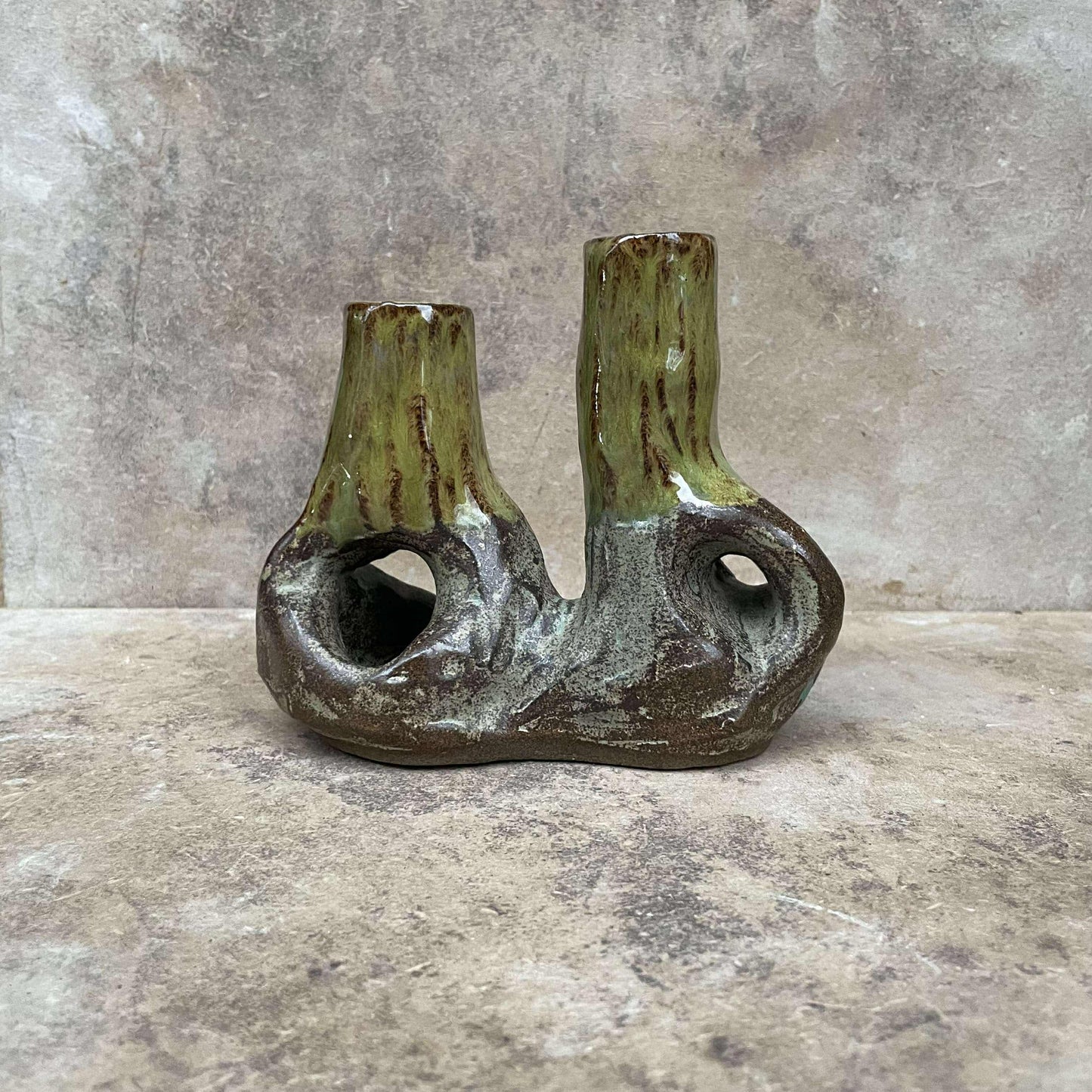 Candle root - Swamp