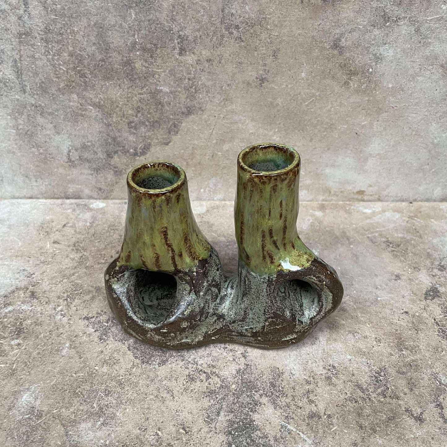 Candle root - Swamp