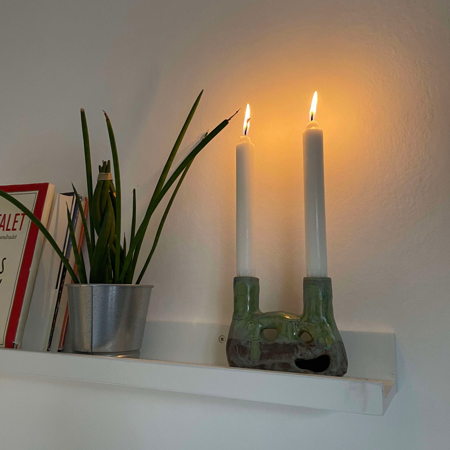 Candle root - Forest