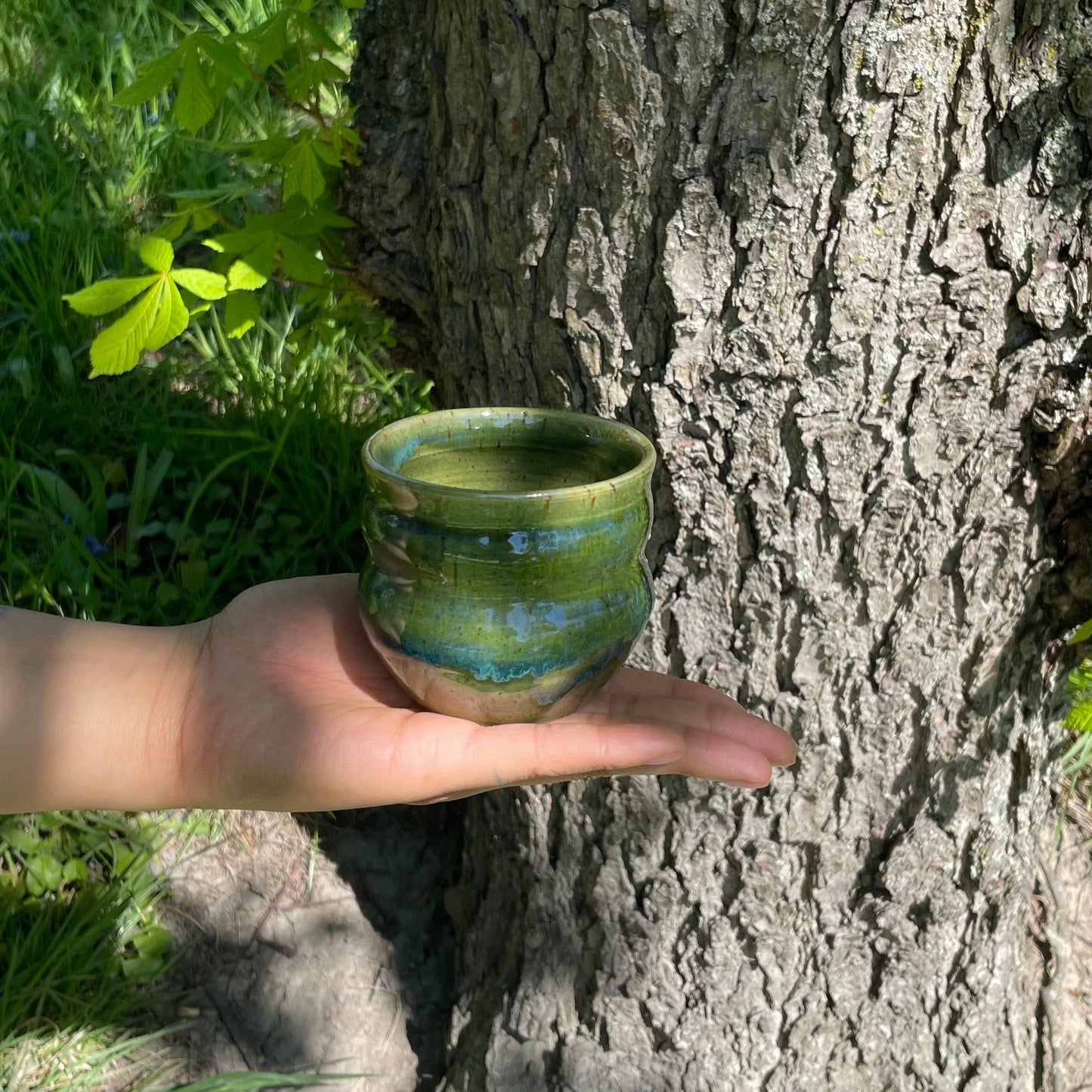 Coffe mug - Seaweed