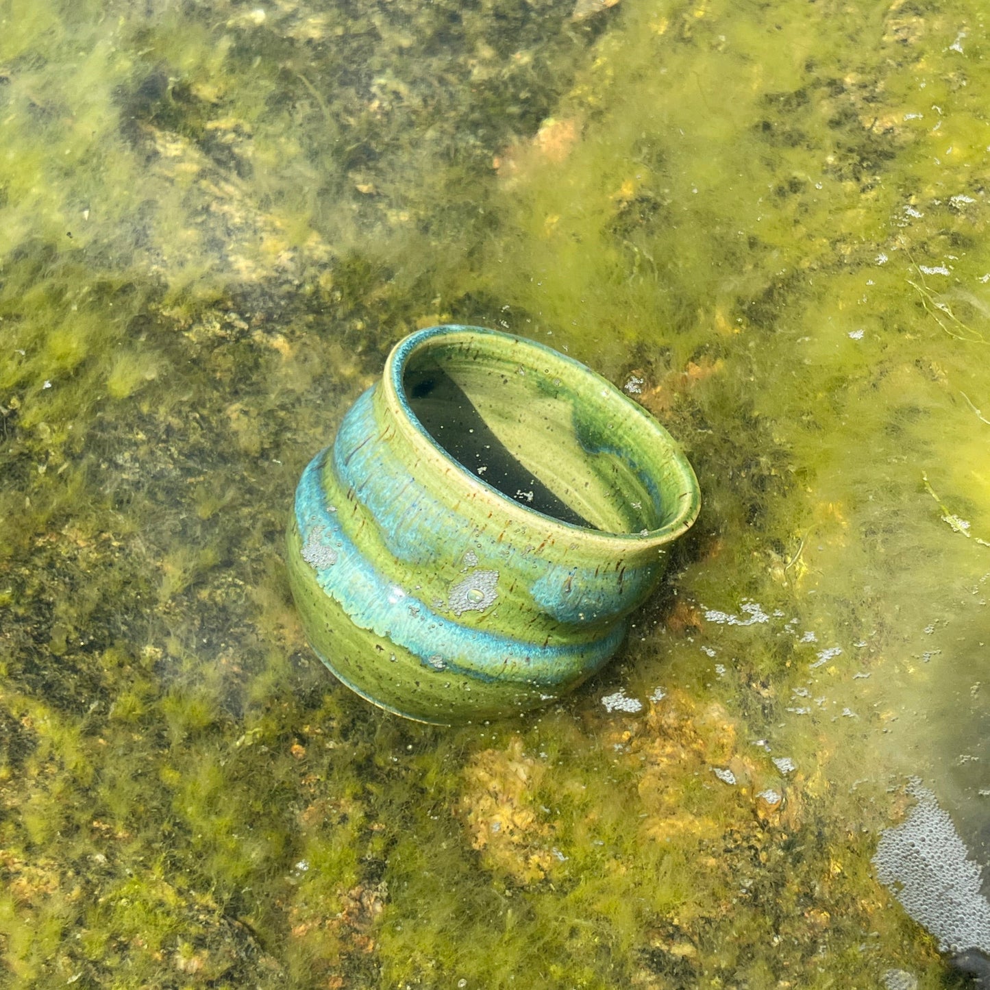 Coffe mug - Seaweed